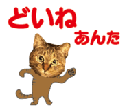 527819533
