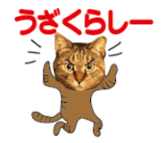 527819535