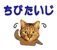 527819538