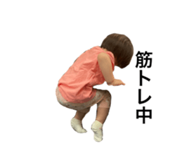 527854846