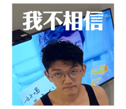 527855216