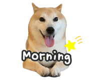 527863814