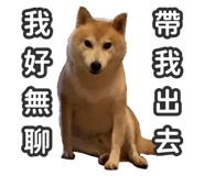 527863822