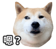 527863827
