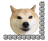 527863830