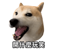 527863831