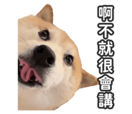 527863834