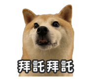527863838