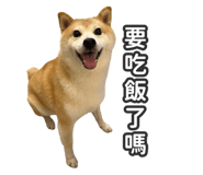 527863840