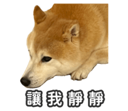 527863841