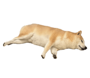 527863842
