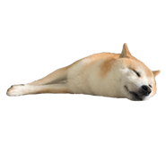527863845