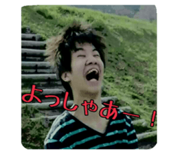 52786934