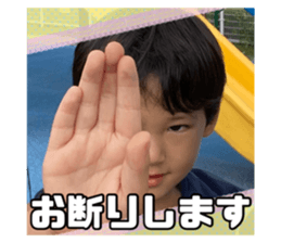 527869616