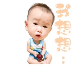 527876076