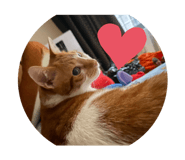 527878757