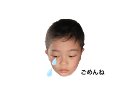 527903416