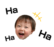 527913737