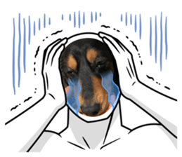 527933593