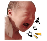 52798837