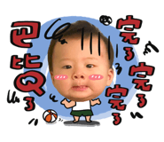 528001980