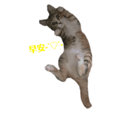 528002022