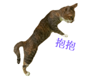528002027