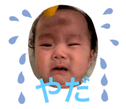 528026832