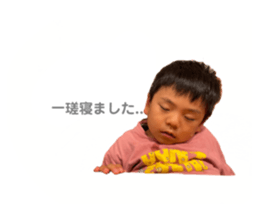 528032703