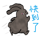 528043040