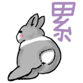 528043041
