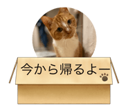 528045520