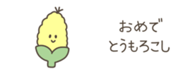 528050485