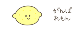 528050486