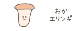 528050489