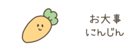 528050516