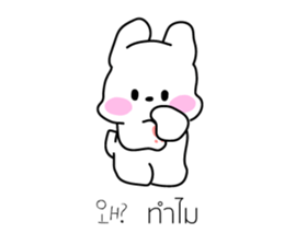 528050532