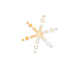 528060204