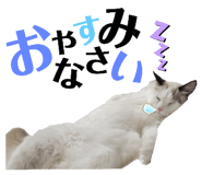 528070375
