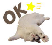528070376