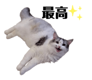 528070377