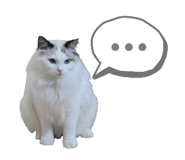 528070385