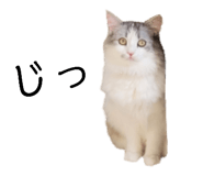 528070388