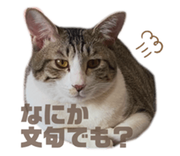 528074272