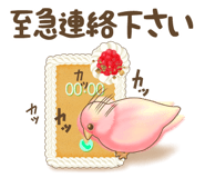 528079239