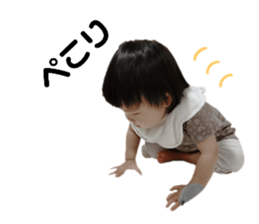 528086091