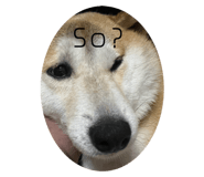 528110833