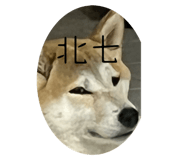 528110839
