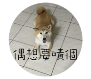 528110842
