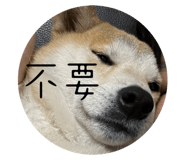 528110847